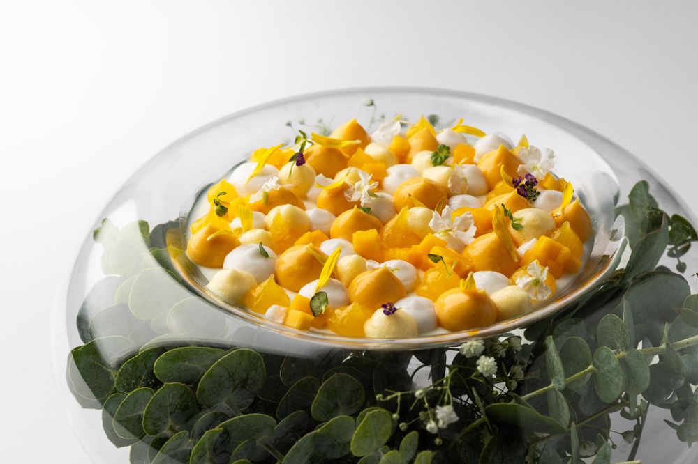  %s course image - %s