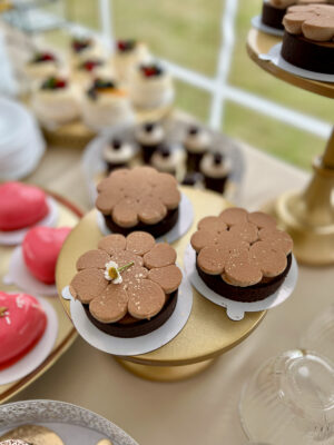 555EF4E8-2426-4D51-9D09-C976C170D4E1