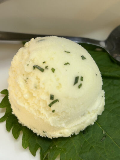 6027DBD5-05E2-48A5-BCDB-106EE8427F86