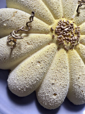 6DA68AF7-7378-4D56-A27D-04230A2EEAD8