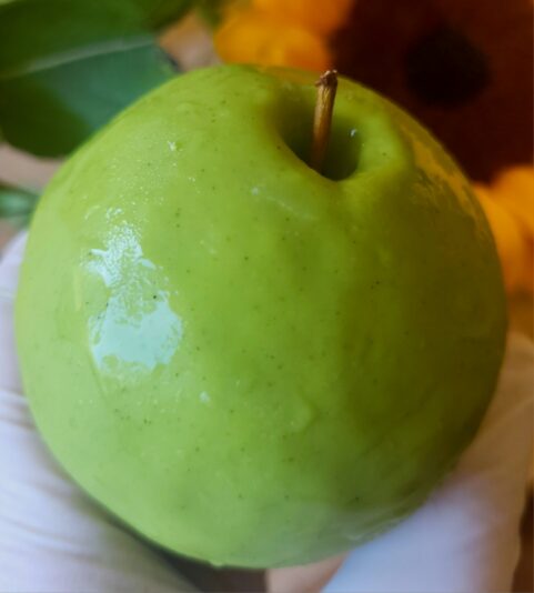 7a3e8709-1a44-4e5c-9be3-5fddd5e1b228