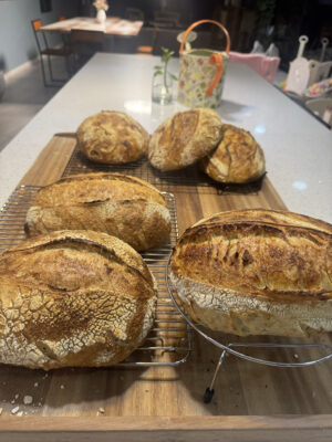 FDF0BB82-E833-4F4D-A6DE-F8B2CEBD83FC