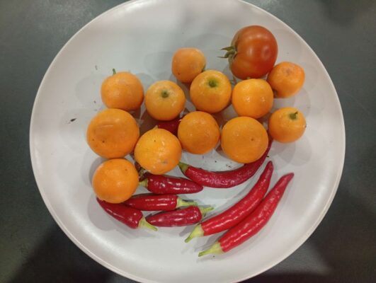 WhatsApp Image 2025-07-03 at 08.07.47