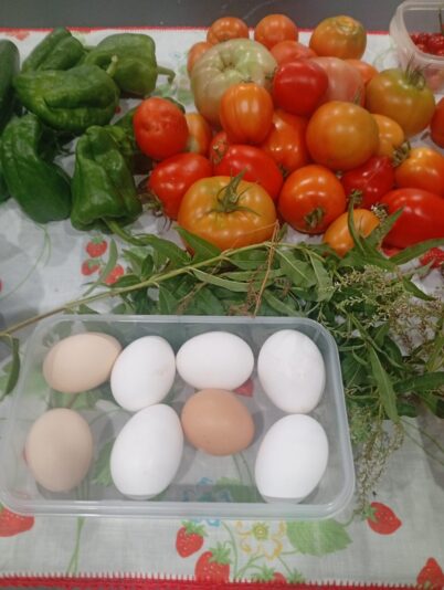 WhatsApp Image 2025-07-22 at 22.13.06 (1)