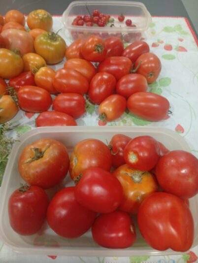 WhatsApp Image 2025-07-22 at 22.13.06