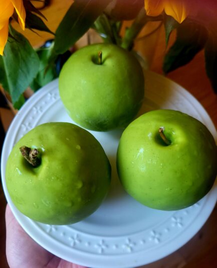 d8af18e5-657c-4344-a491-1d5464160f22