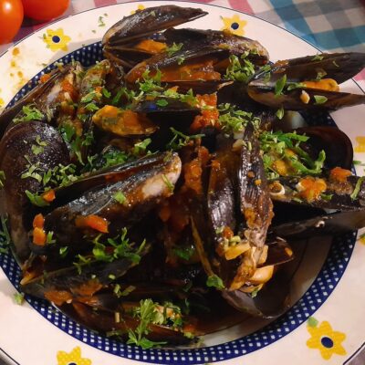 mejis-beatriz torija