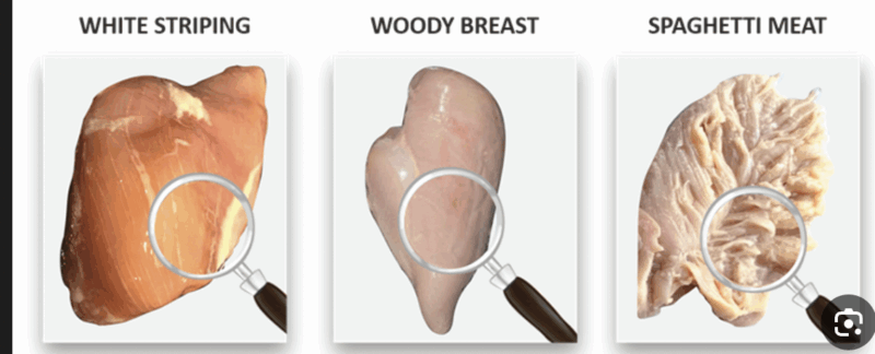 ‏لقطة الشاشة ٢٠٢٥-٠٨-٢٨ في ٤.٢٥.٢٢ م