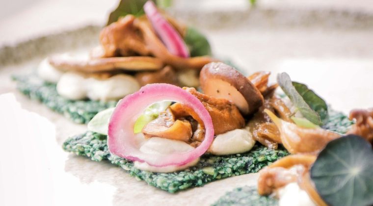 Fundamentos de Cocina Crudivegana