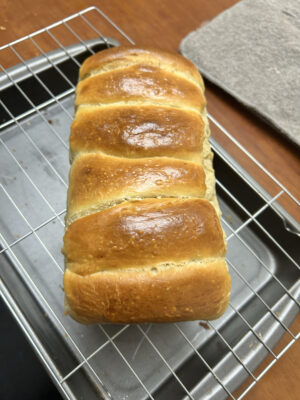 EA6BC2BF-07AF-4223-874A-4E8D65D7C0FE