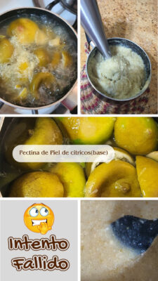 Pectina de Piel de citricos(base)_20250806_180917_0000