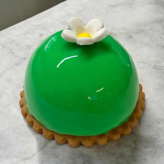 Photoroom_20250312_161607