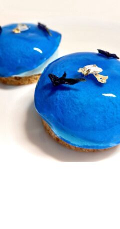 Scoolinars Ganadores - Foto User + Plato (4)