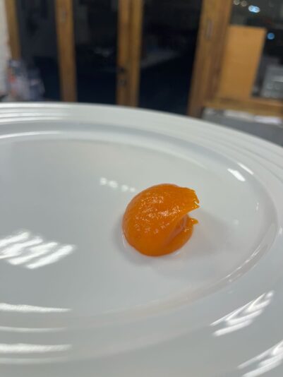 WhatsApp Image‏ 2025-08-17 at 22.17.09