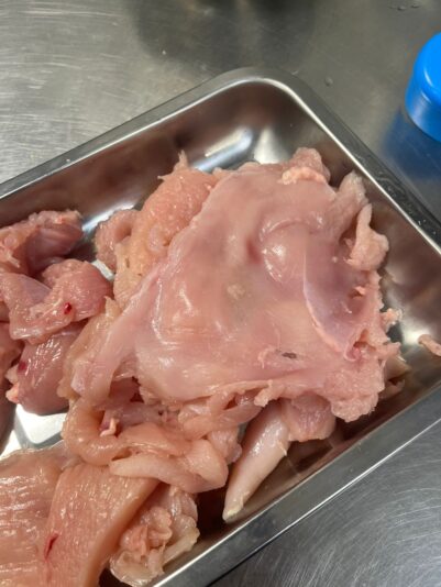 WhatsApp Image‏ 2025-08-28 at 16.14.27