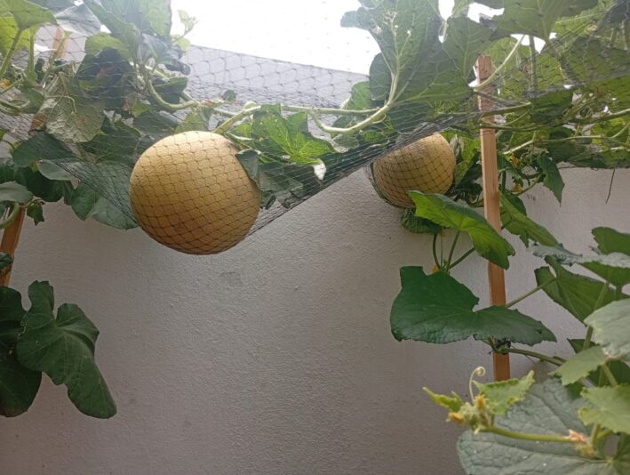 WhatsApp Image 2025-08-06 at 15.18.51 (2)