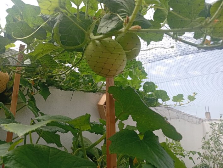 WhatsApp Image 2025-08-06 at 15.18.51 (3)