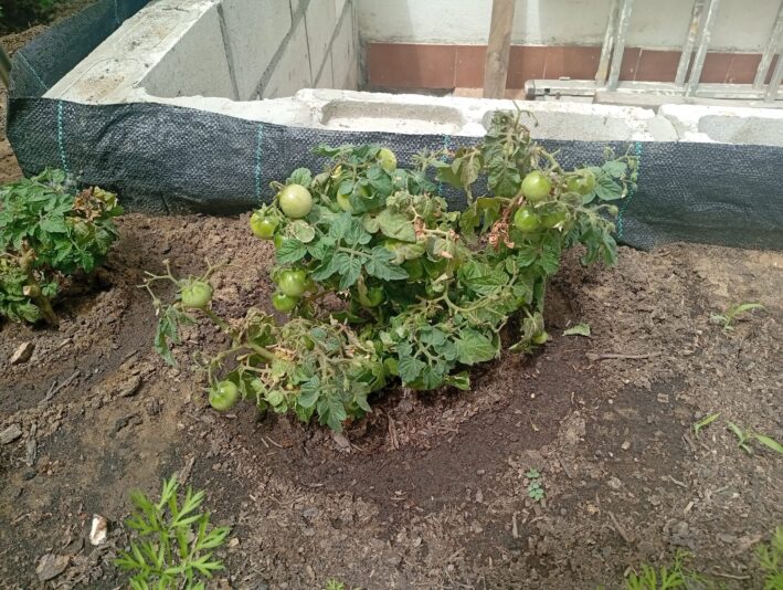 WhatsApp Image 2025-08-06 at 15.18.55 (3)