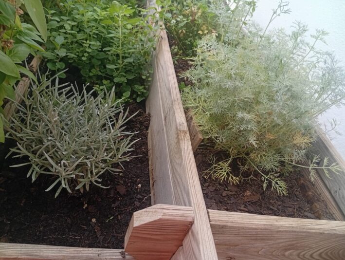 WhatsApp Image 2025-08-06 at 15.18.56 (2)