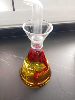 WhatsApp Image 2025-08-31 at 13.36.38