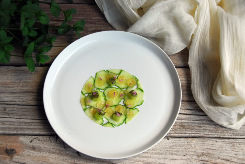 carpaccio pepino beatriz torija 1