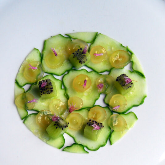 carpaccio pepino beatriz torija 3