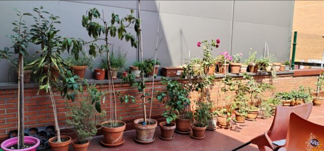 ec657d0d-e459-40ff-9246-51addfd4cddf