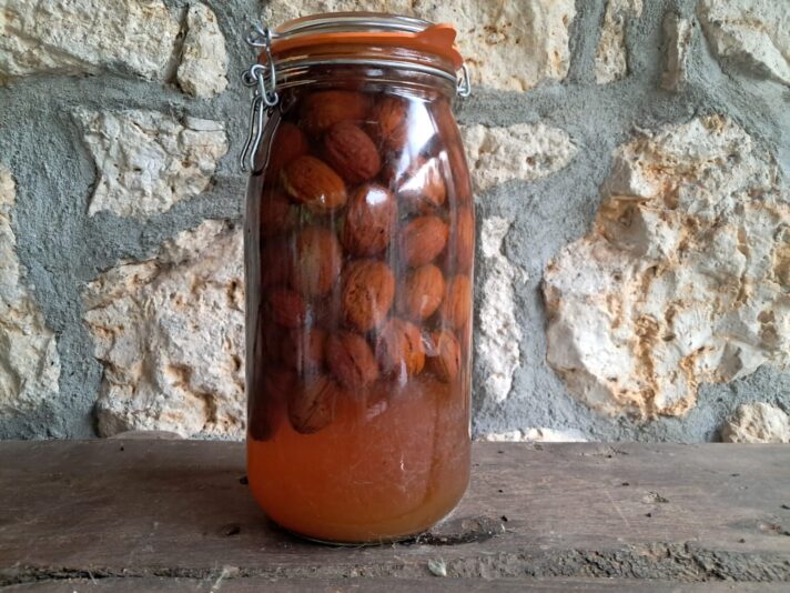 foto nueces bea agosto