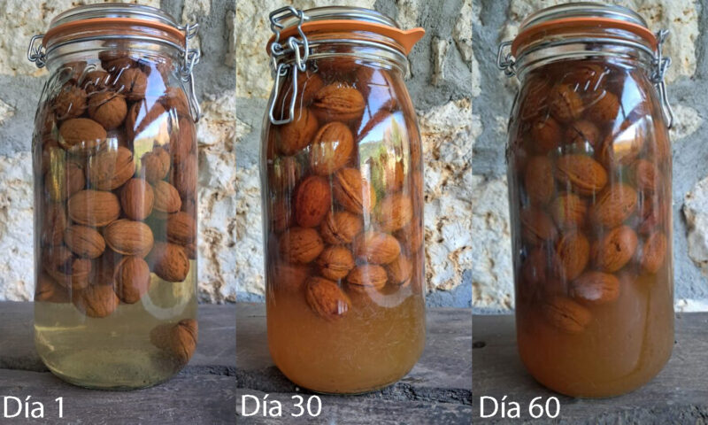 nueces encurtidas beatriz torija ok