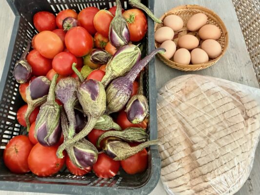 252BEBC8-4587-48D6-A64E-5CC253CC3C3D