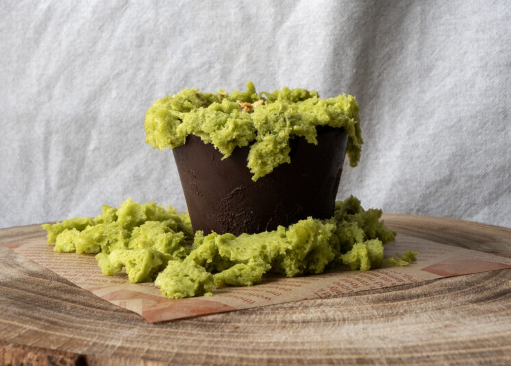 Feed 62 Maceta de musgo