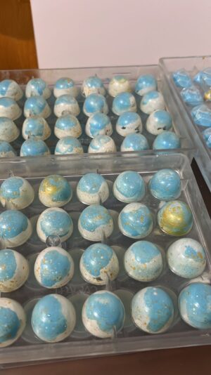 WhatsApp Image 2025-09-04 at 10.14.26 AM