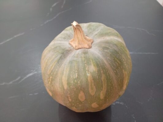 WhatsApp Image 2025-09-23 at 12.43.22