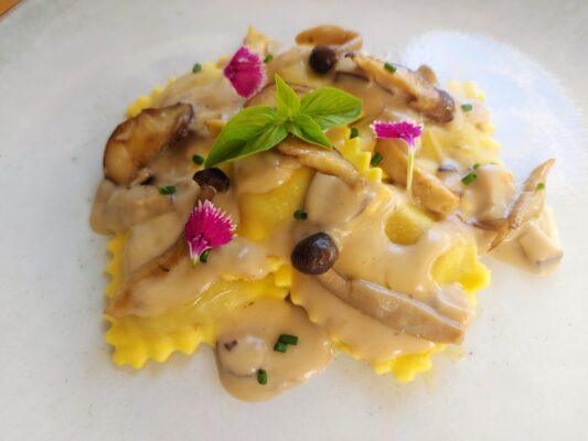 Feed 46 20251002_113044~2