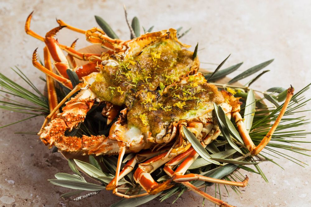  %s course image - %s