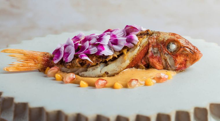 Fine Dining Fish Dishes course image