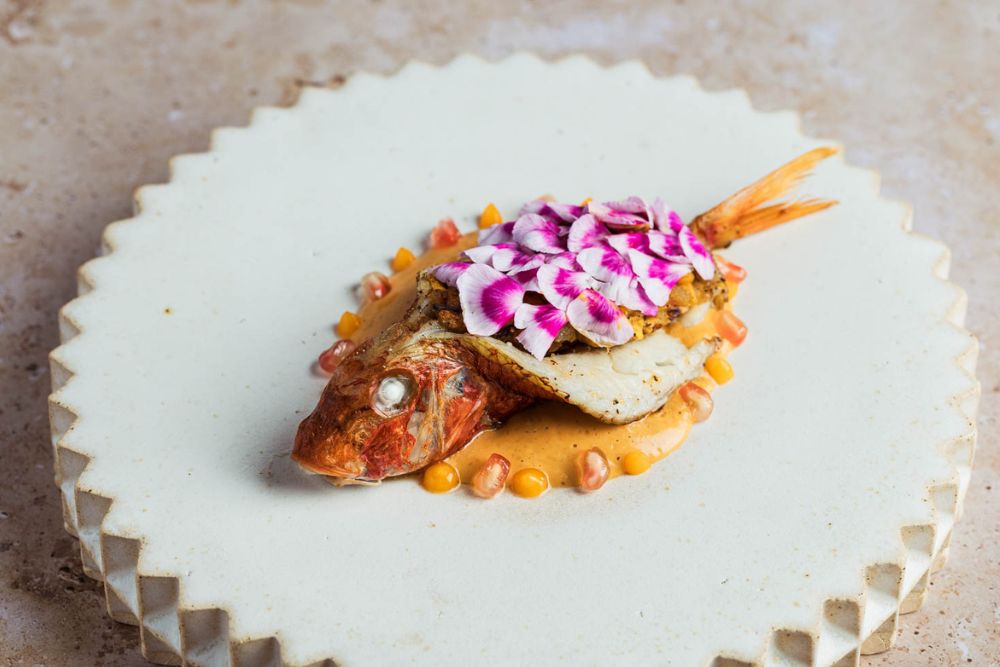  %s course image - %s