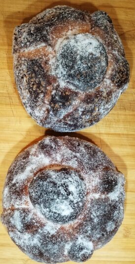 Feed 65 951c316e-2d75-4555-8ce7-9fb68fcfeb43