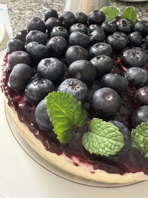 Feed 43 Cheesecake Tradicional