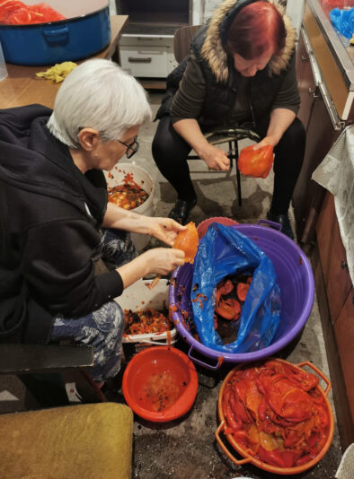 Feed 113 GULJENJE 02