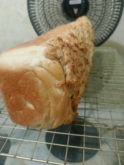 Feed 72 IMG_20251004_211115