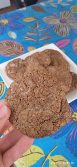 IMG_20251028_132338_1