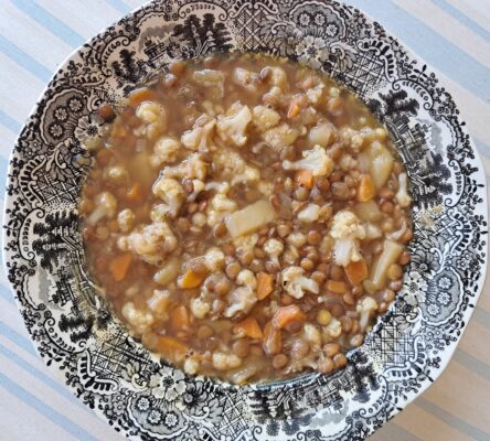 Feed 80 LENTEJAS VEGETALES