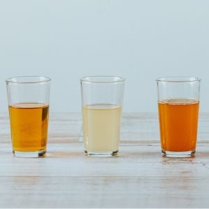 Introducción a la Fermentación: Kombuchas, Kéfir, Hidromiel...