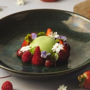 Técnicas de Emplatado