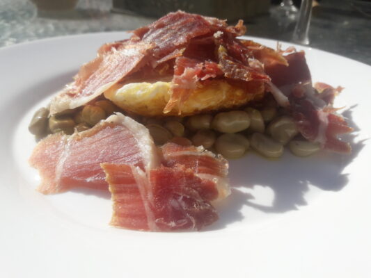 habitas beatriz torija