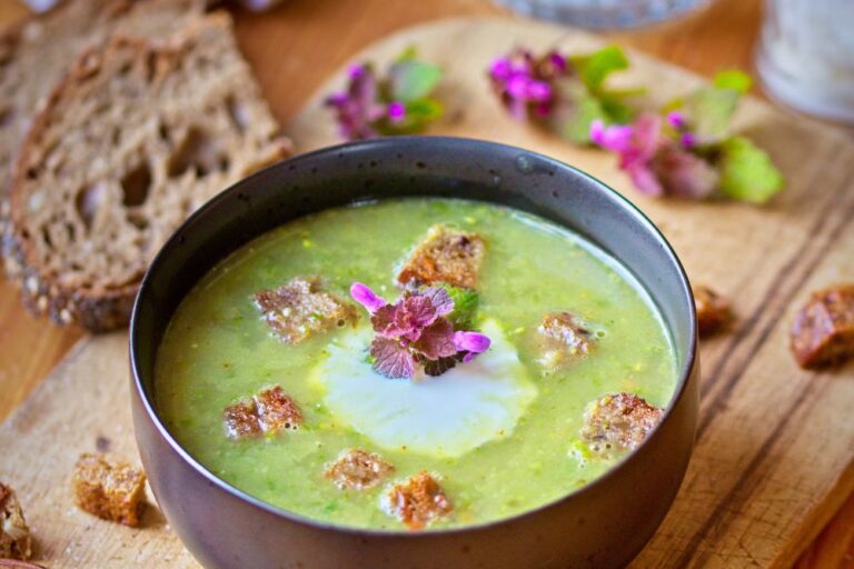 Cocinar con Hierbas Silvestres