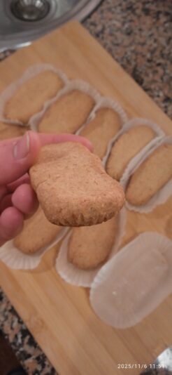 IMG_20251106_115117_1