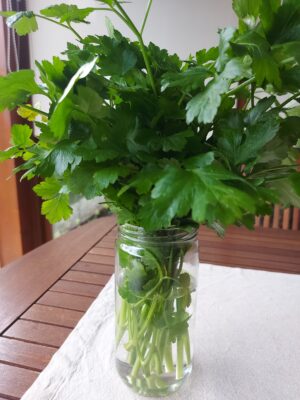 f5dac372-5caf-4e9c-9f0c-6a9ad4b0d6a4-1_all_15376