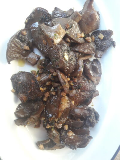 setas 2 beatriz torija